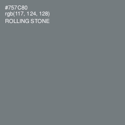 #757C80 - Rolling Stone Color Image
